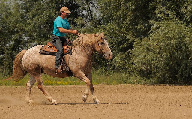 Westernová sedla pro rekreaci i sport